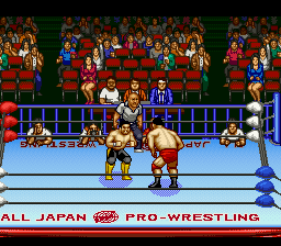 Zen-Nihon Pro Wrestling 2 - 3-4 Budoukan (Japan) In game screenshot
